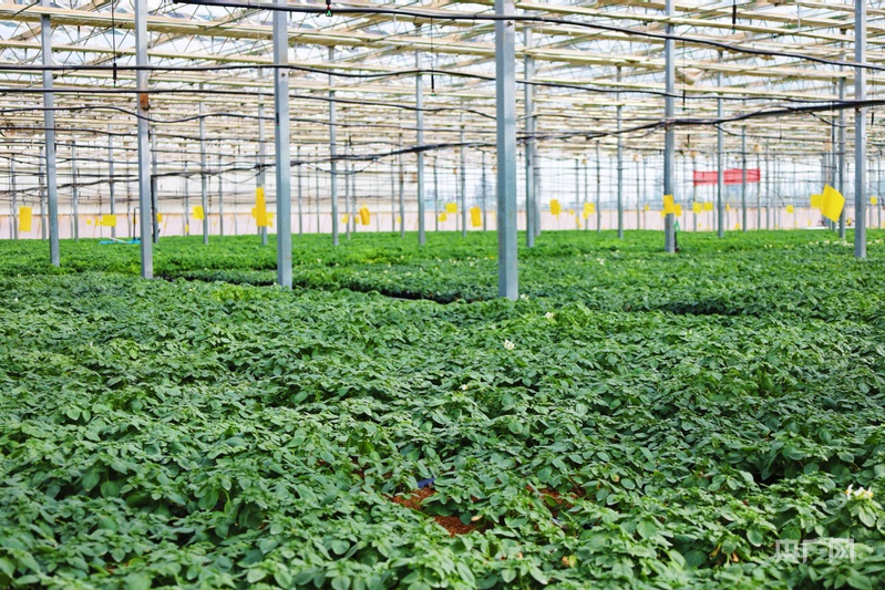 祁连山下是我家丨这里