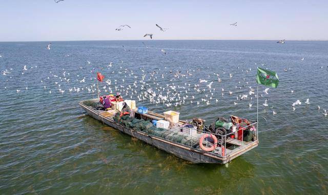 叮咚买菜启动“寻味中